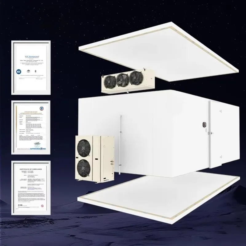 Customized Commercial walk-in Cooler storage/freezers, featuring high-density insulation and stable freezing