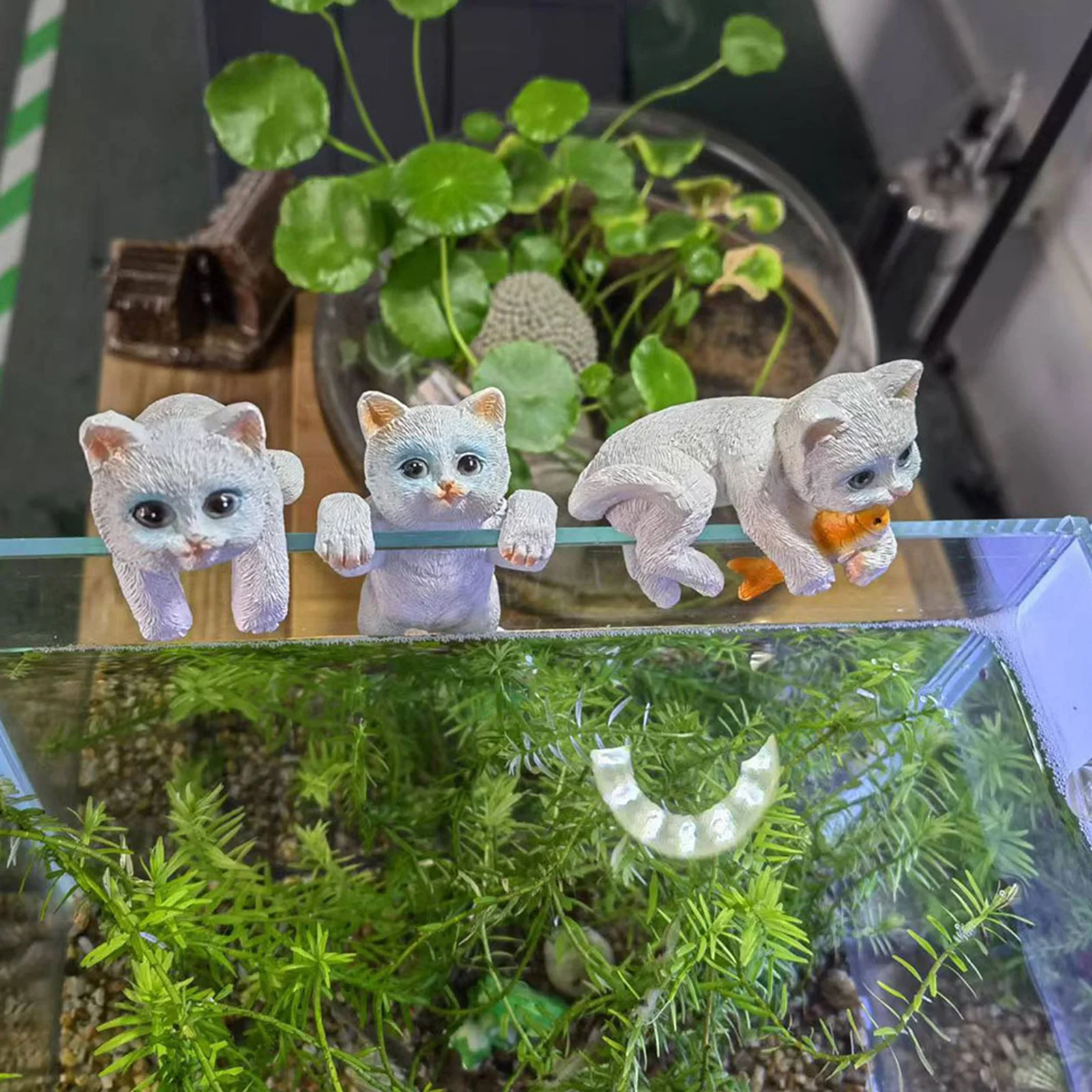 

3Pcs Mini Cat Aquarium Ornament Resin Small Decor for Desktop Garden Flowerpot Cute Cat Decor Aquarium Decoration
