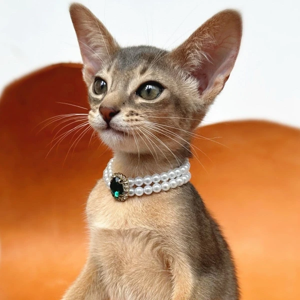 Cat Pearl Necklace Necklace Pet Supplies Decorative Vintage Gemstone Abyssinian Cat Jewelry Pendant  Pet Items Gatos  Mascotas