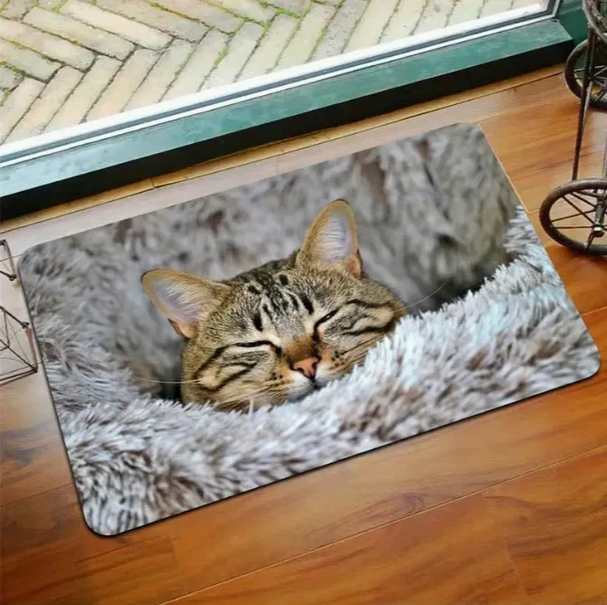 Cute Heart-shaped Print Door Mat Bathroom Floor Mat Ultra-fine Absorbent Mattress Living Room Entrance Mat Camping Picnic Carpet