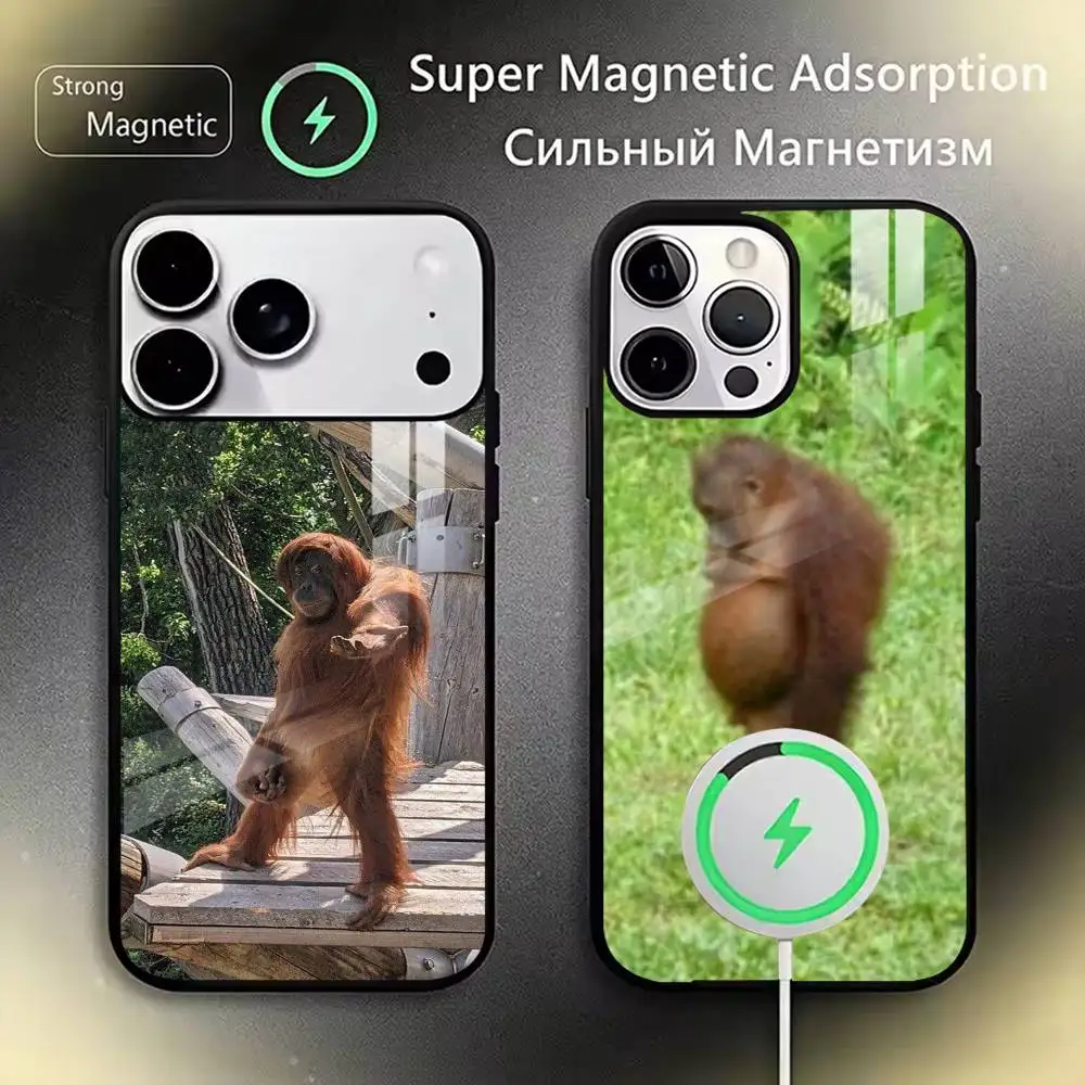 Funny Monkey  Phone Case For iPhone17,16,15,14,13,12,11 Plus,Pro Magnetic For Magsafe Wireless Charging