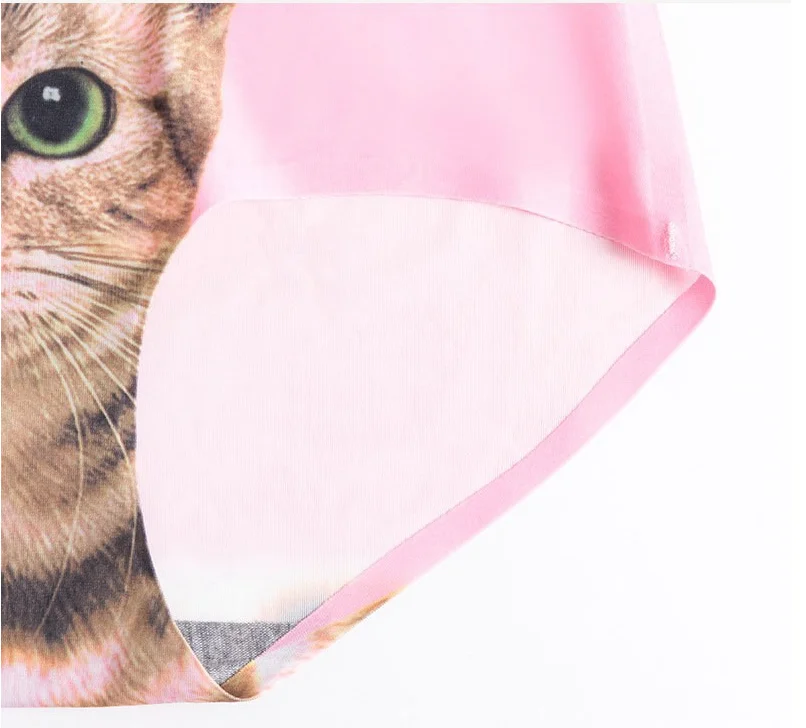 Brand 3D Cat Cartoon Girls Underwear Panties Kids Underwear Stretch Ice Silk Briefs Young Girls Underwear Calcinha Infant Panty