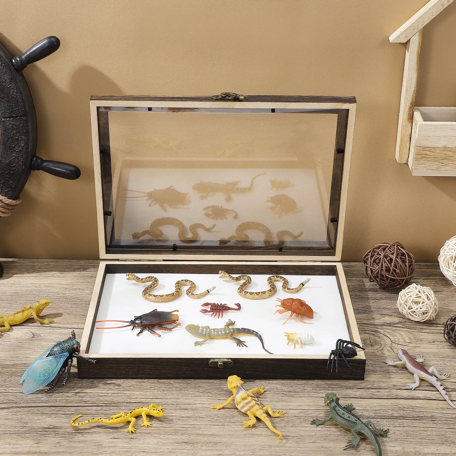 1Set Specimen Display Box Wooden Insect Case Clear Top Dustproof 12.18x8.65x1.57in Storage Frame for Butterfly Bug Collection