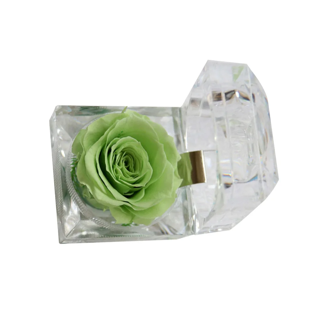 

1Pcs Preserved Flower Eternity Rose Romantic Gift for Lover Home Wedding Party Decoration No Allergy Issue Light Green Drawer