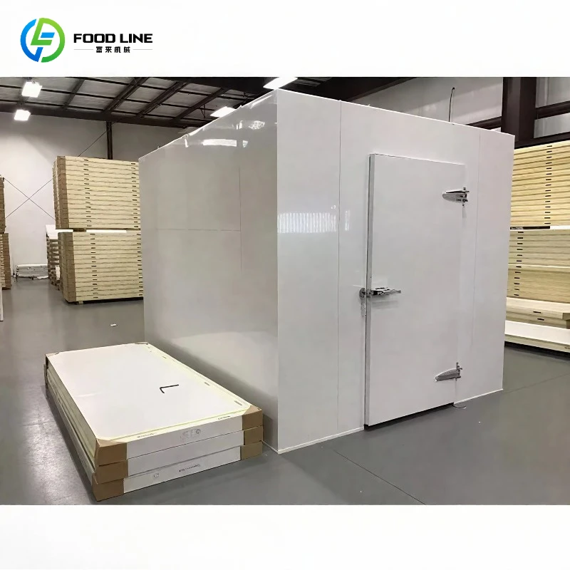 Commercial Custom Walk-in Mobile Cold Room for Seafood Meat Freezer Cooler Storage Small Movable Refrigerated System Cold Room