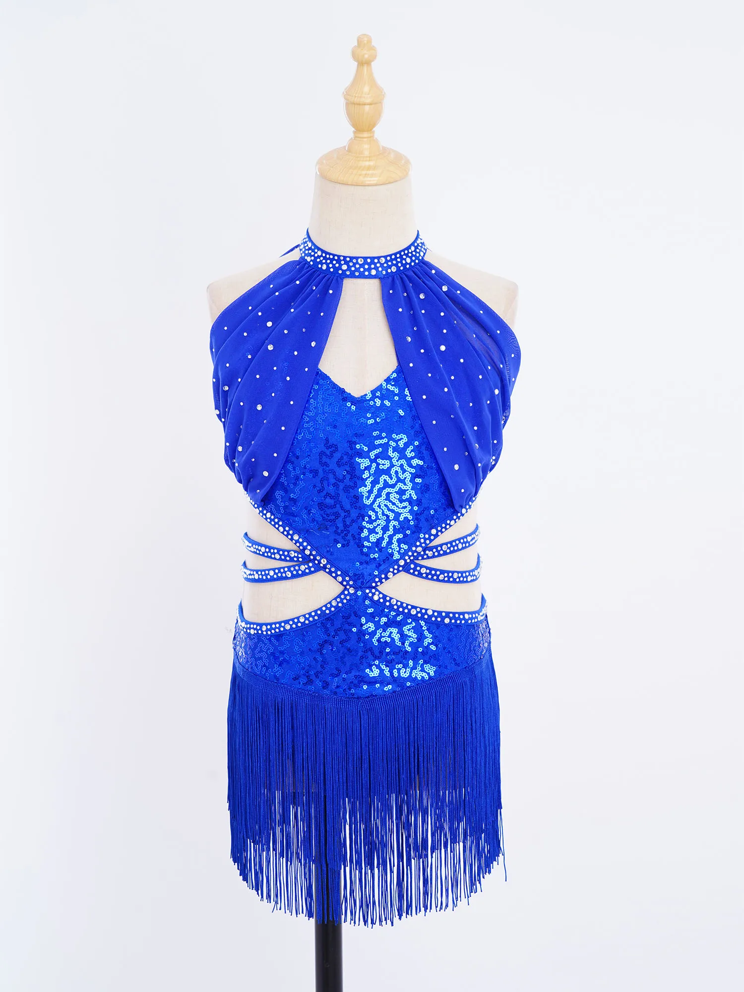Kid Girls Glittery Sequin Tassel Latin Dance Dress Salsa Jazz Tango Dance Sleeveless Ruched Mesh Overlay Bodice Leotards Dresses