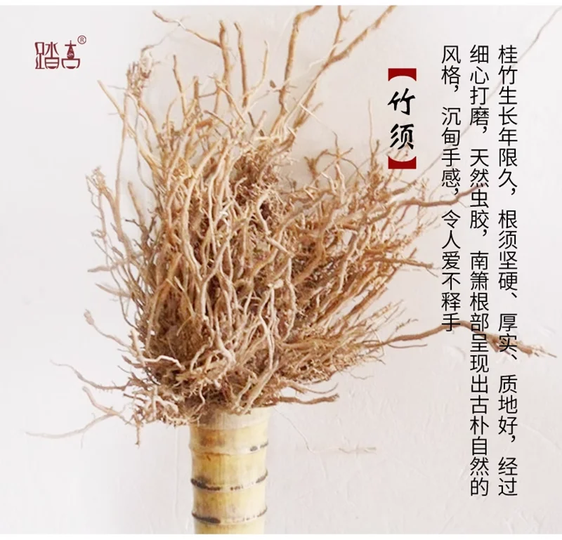 Bamboo Short Xiao Flute Musical Instrument Professional Portable Xiao 8 Hole Nan Xiao Flute G/F key