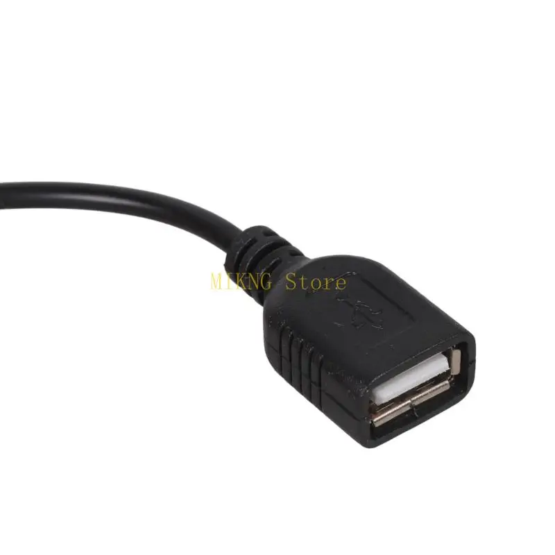 2Pin Terminal To USB Female Adapters Cable 5V Output For Electronics Charging Best Sale