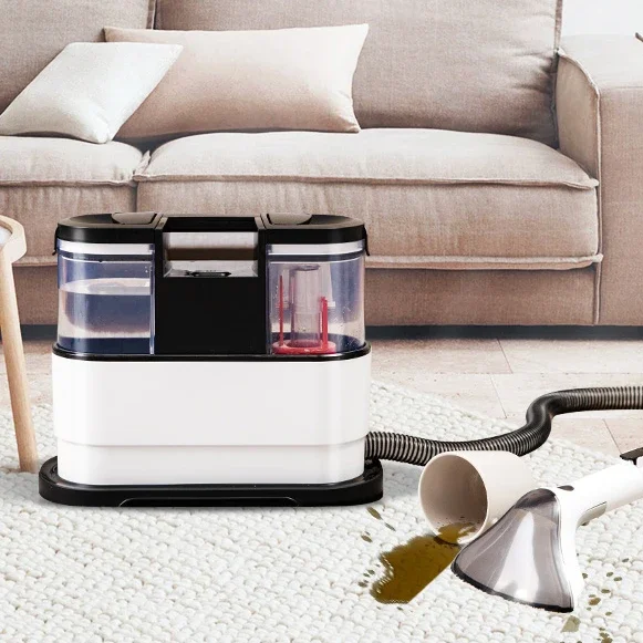 Aspirateur portable à cordon sec pour la maison, pour déterminer les taches de canapé, pour animaux de compagnie, pour tapis