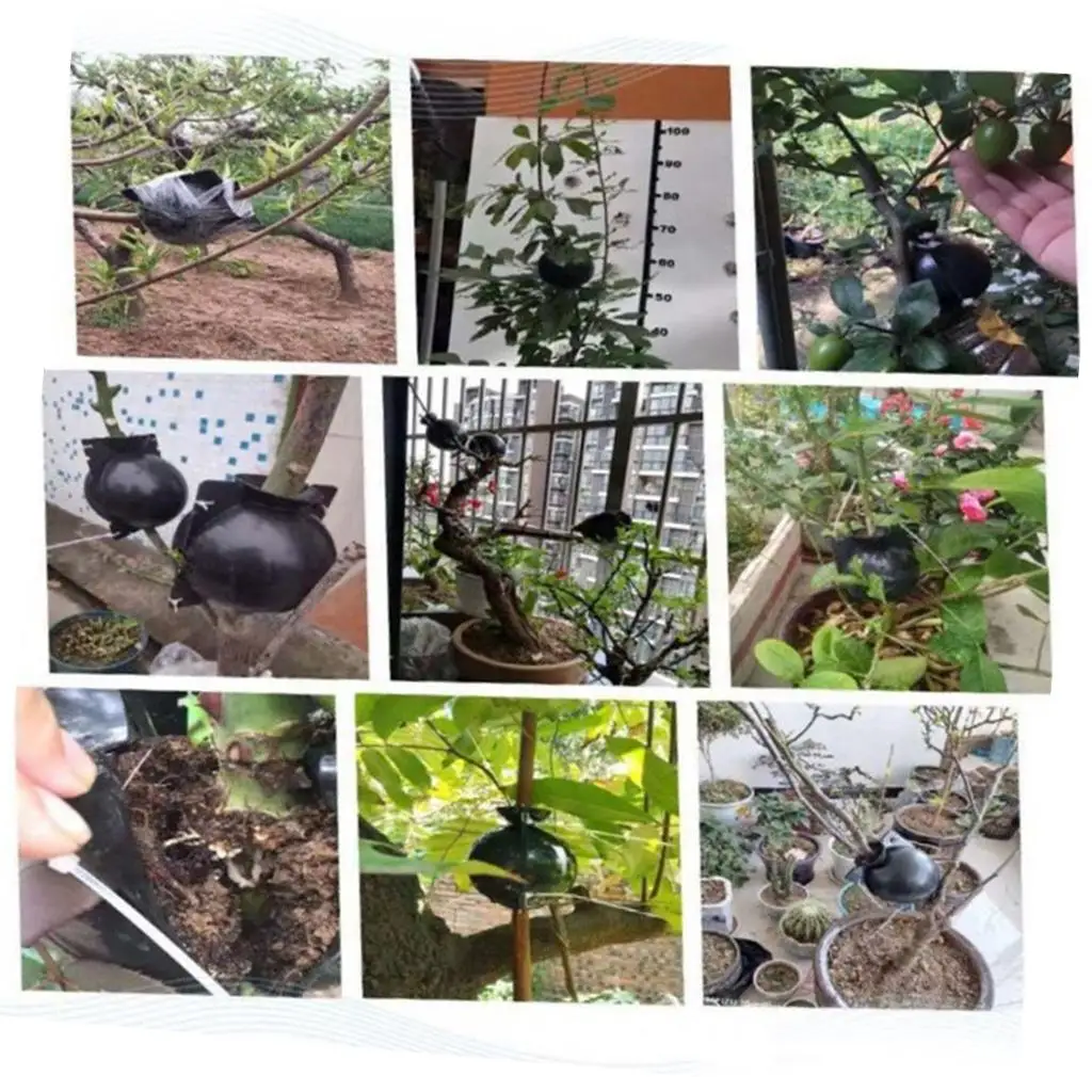 Grafting High Pressure Plant Rooting Ball Support for Plants Propagation Cloning Box for Garden