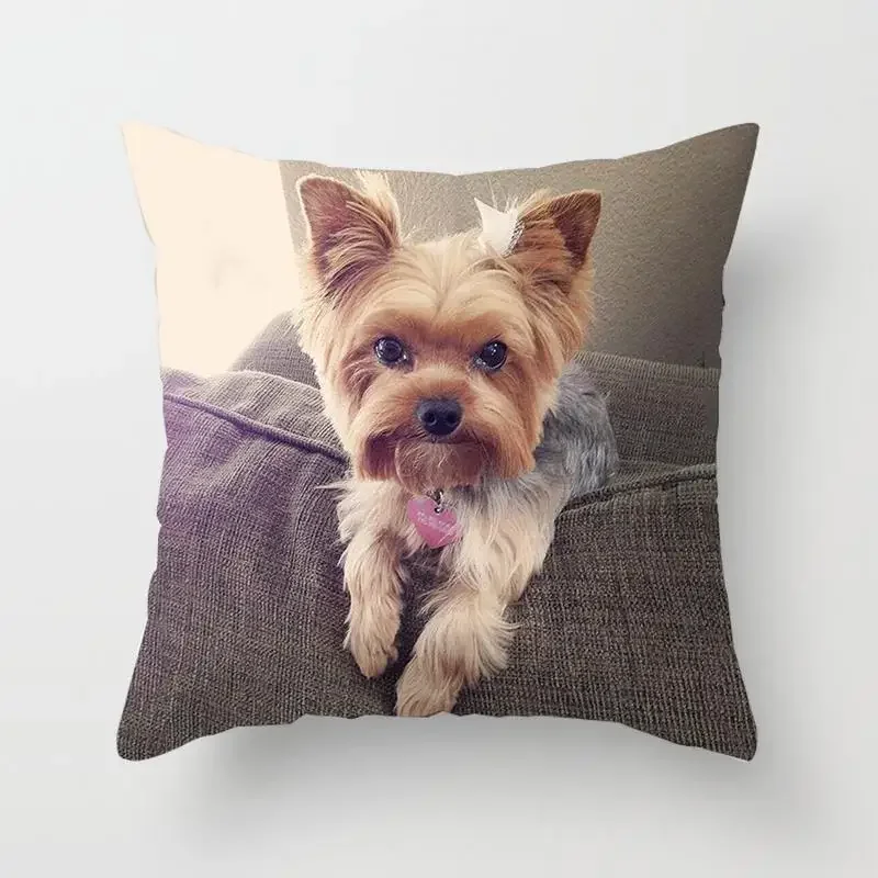 Cute Dog Yorkie BICHON Dog Yorkshire Decor Print Pillow Case Bedroom Sofa Waist Cushions Cover Car Decoration Cushion Cover