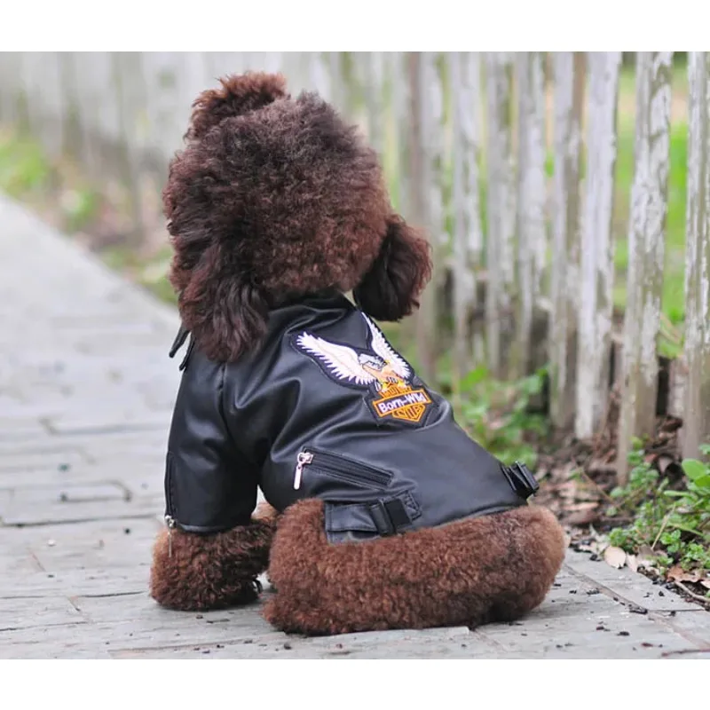 Small/Medium dog Pet Luxury Leather Jacket Coats for dog Autumn/Winter Eagle Chihuahua dog cat puppy vest clothes costume