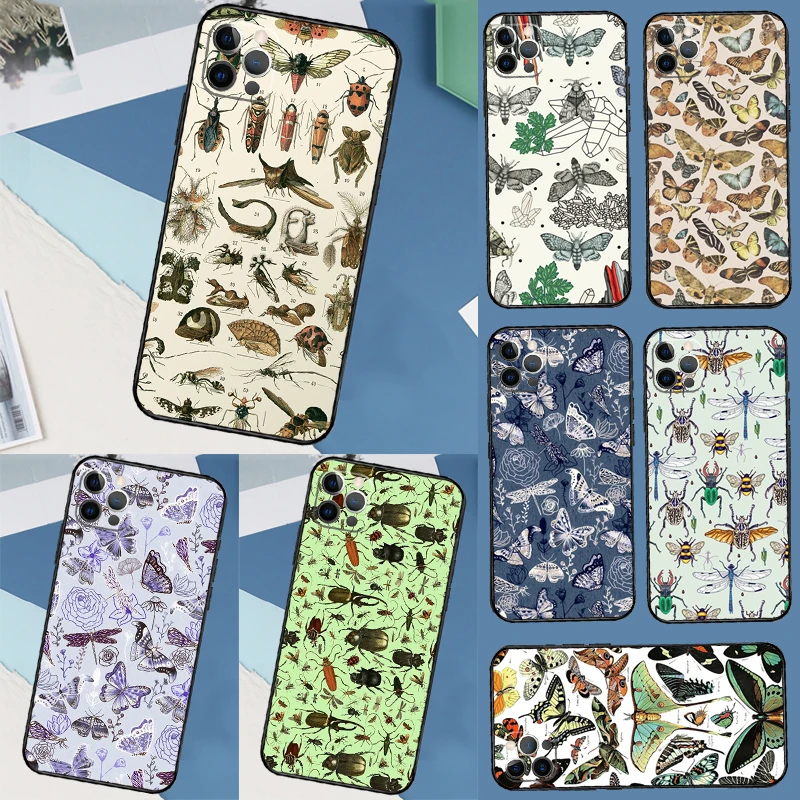 Moths Insects Botan… - image