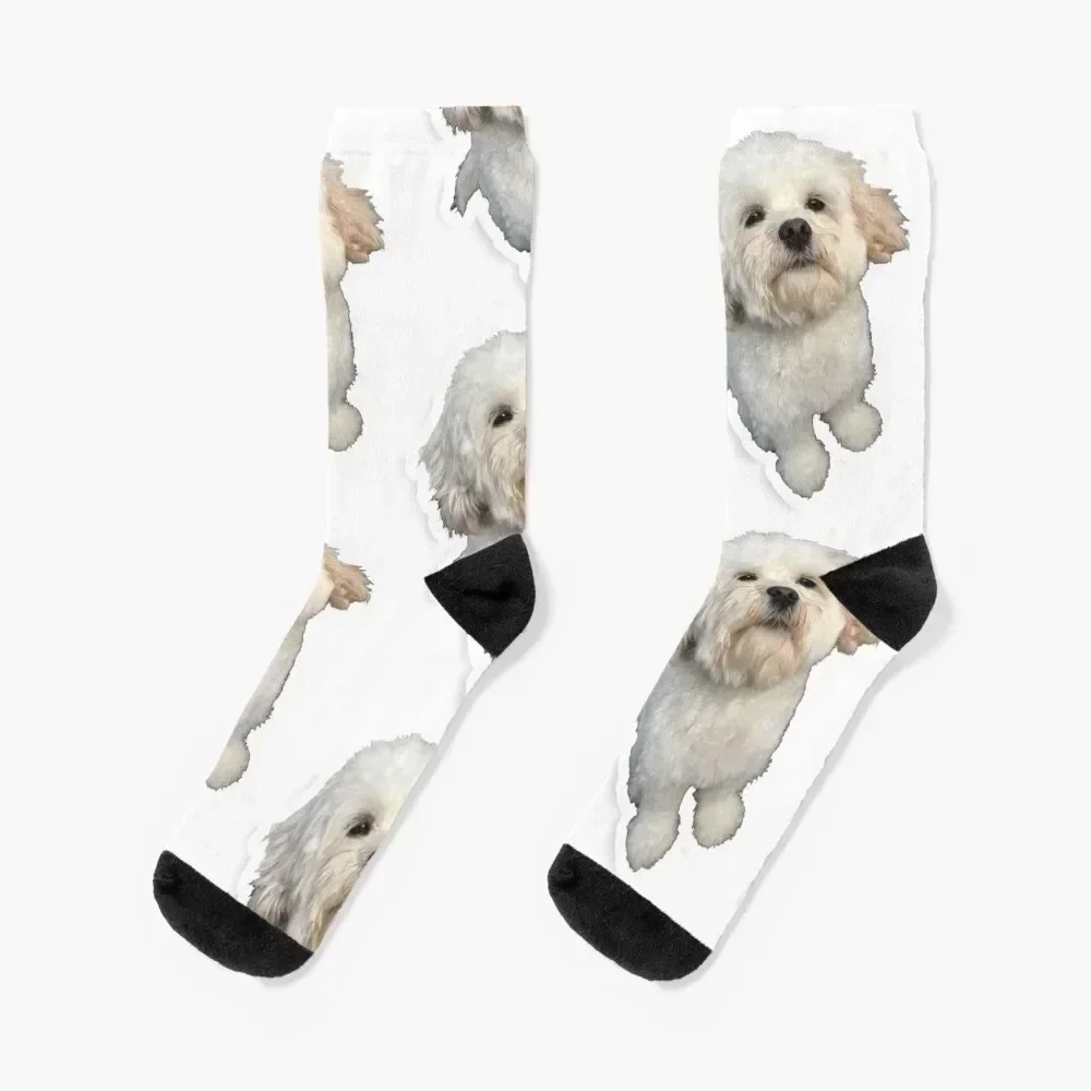 

Cavachon Socks winter shoes hip hop Children's Women's Socks Men's