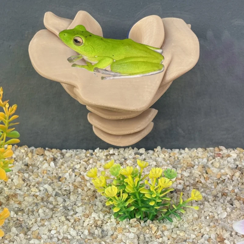 Mushroom Shaped Fis… - image