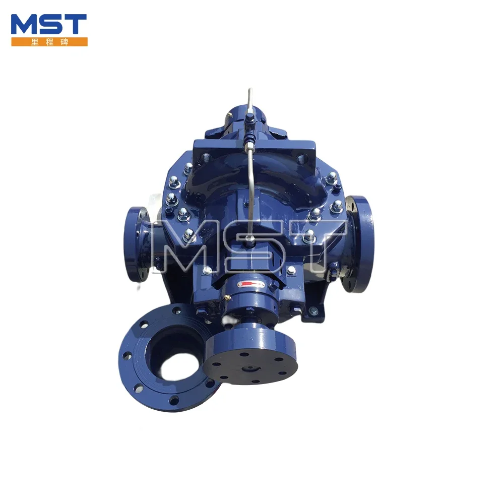 Hot Products Water Self-Priming Centrifugal Irrigation Double Suction High Flow Pump