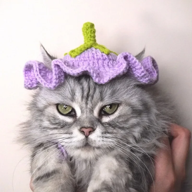 

Cat Dog Knitted Pet Hat Eggplant shape Cute Pet Accessories Adjustable Strap Knitted Hat for Party Dog Headwear