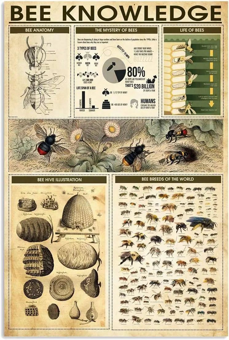 Bee Knowledge Posters Metal Signs Bee Knowledge Guide Retro Plaque Farm Decor Room Club Garage Wall Decor 12x16 Inches sign