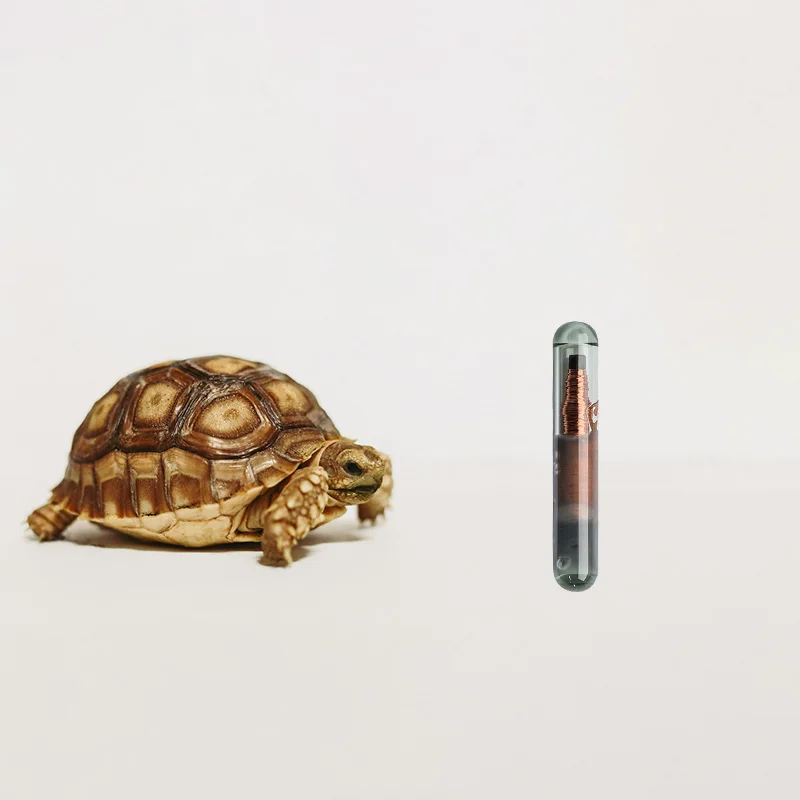 10 قطعة 7 مللي متر ، 8 مللي متر ، 12 مللي متر علامة زجاجية للحيوانات رقاقة مايكرو تتفاعل رقاقة حقن رقاقة FDX-B القياسية للزواحف ، الحيوانات الأليفة Iguanas ، سحاليات المراقبة