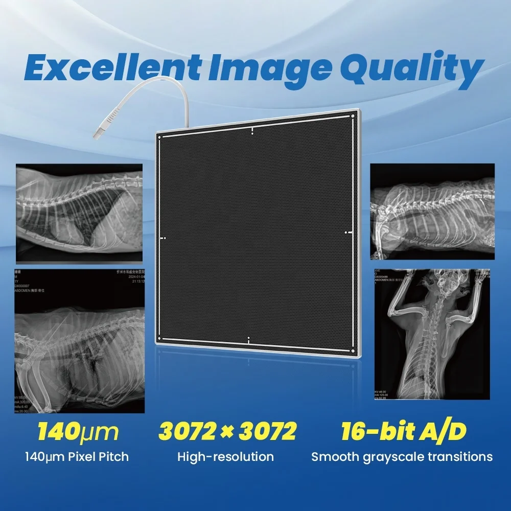 

Careview Brand Flat Panel Detector X-ray For Dog Veterinary Use CE Certified 2 Years Warranty High Image Quality High Resolution