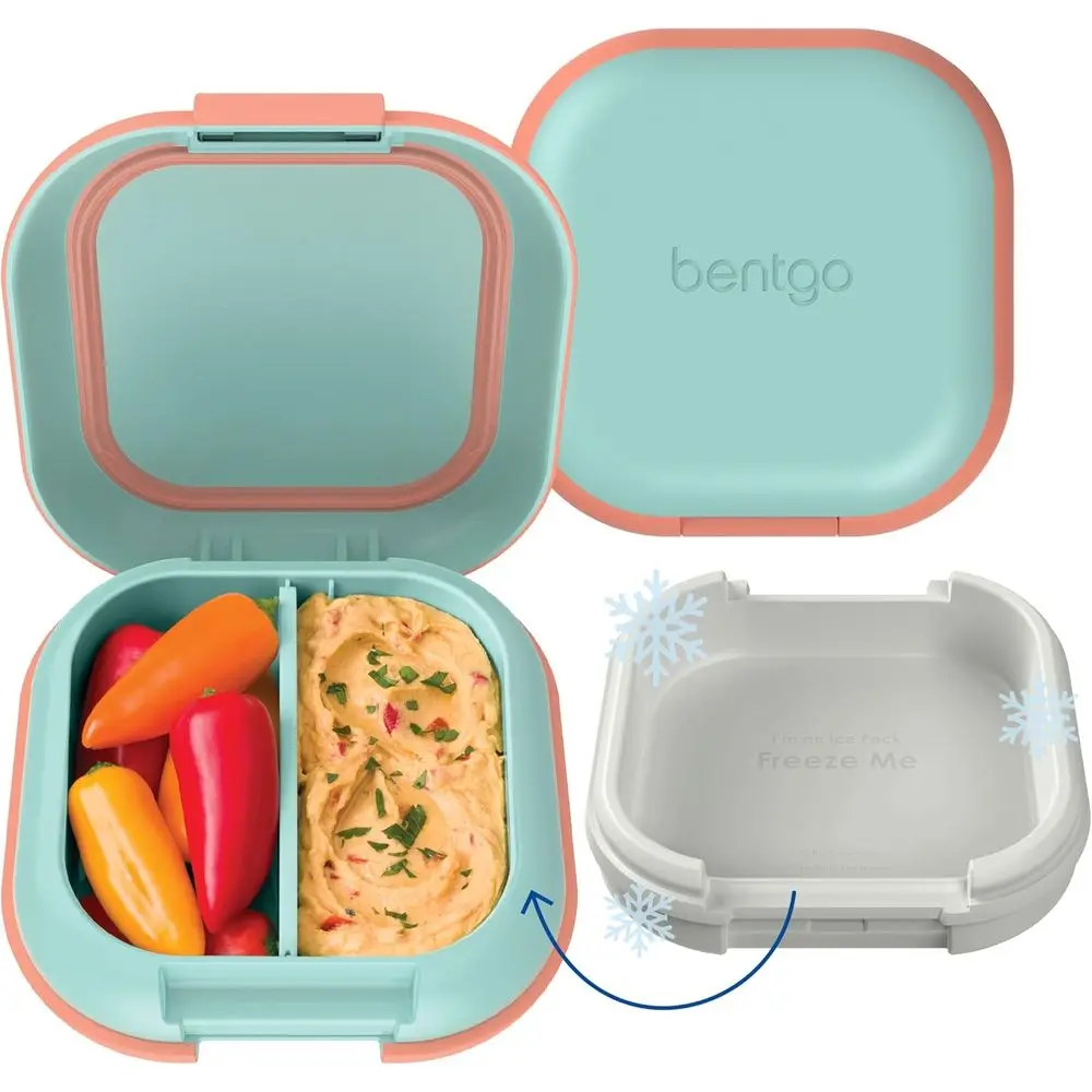 Seaside Papaya Mini Leakproof Lunch Box Built In Ice Pack 2.7 Cup 3/4 Compartments PFAS BPA Free For Adults Kids Over 3