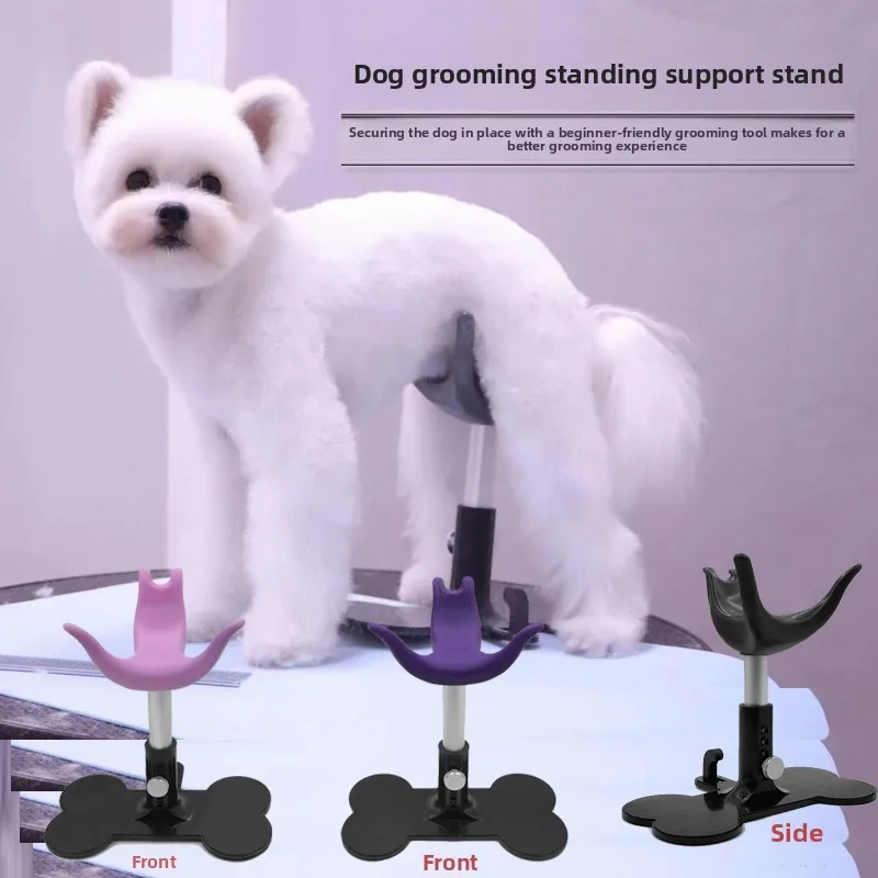 Auxiliary standing bracket, for fixing dogs, auxiliary dog standing bracket