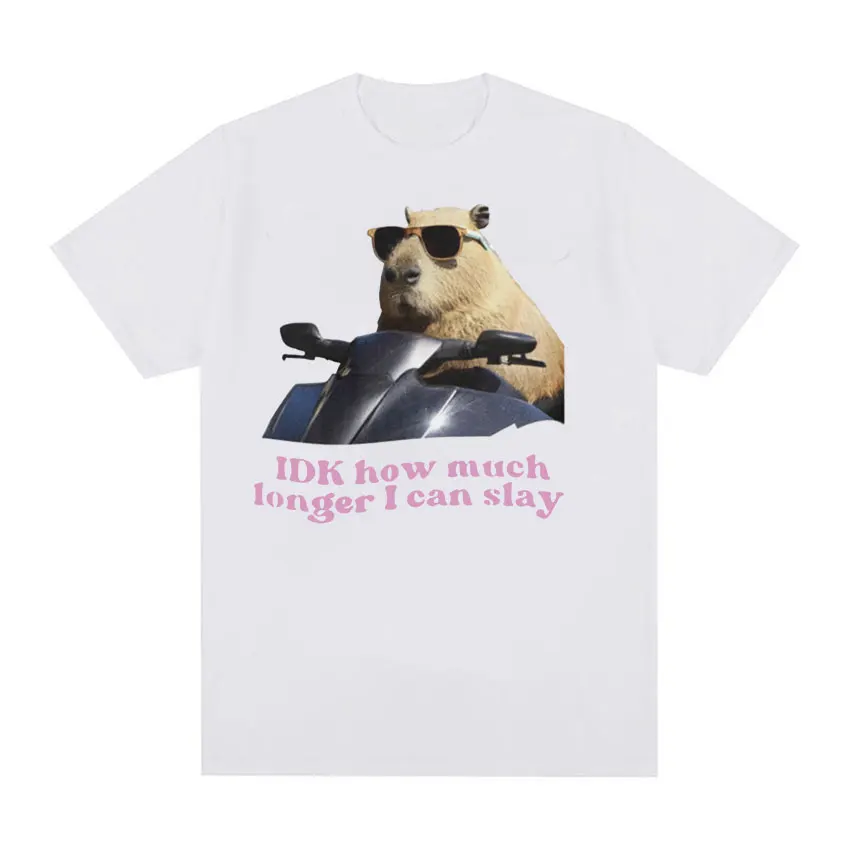 IDK How Much Longer I Can Slay Capybara Funny Meme T Shirts Men Women Retro O-Neck Fashion T-shirt Casual Cotton Oversized Tees