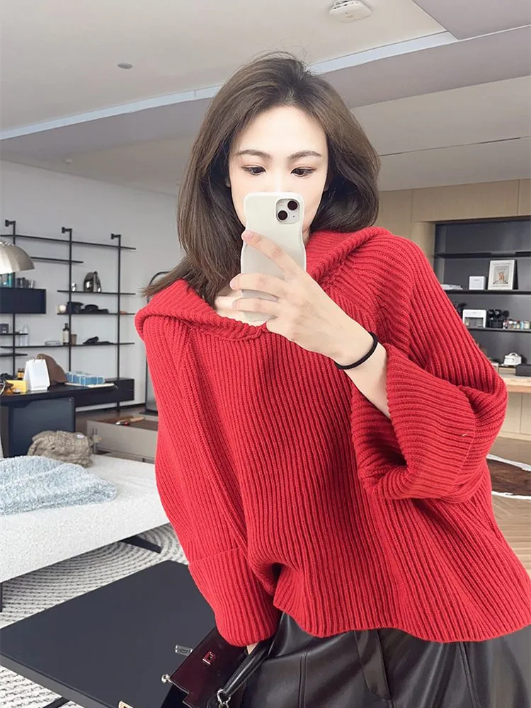 Korean style Long Sleeve Sweater Autumn Winter New Hooede Womens Clothing Pullover Tops Warm Fashion Women Knitwears