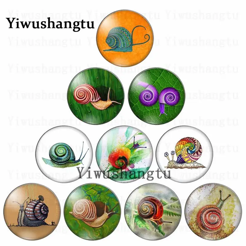 Cute snail  crawl animal upward life 12mm/20mm/25mm/30mm Round photo glass cabochon demo flat back Making findings