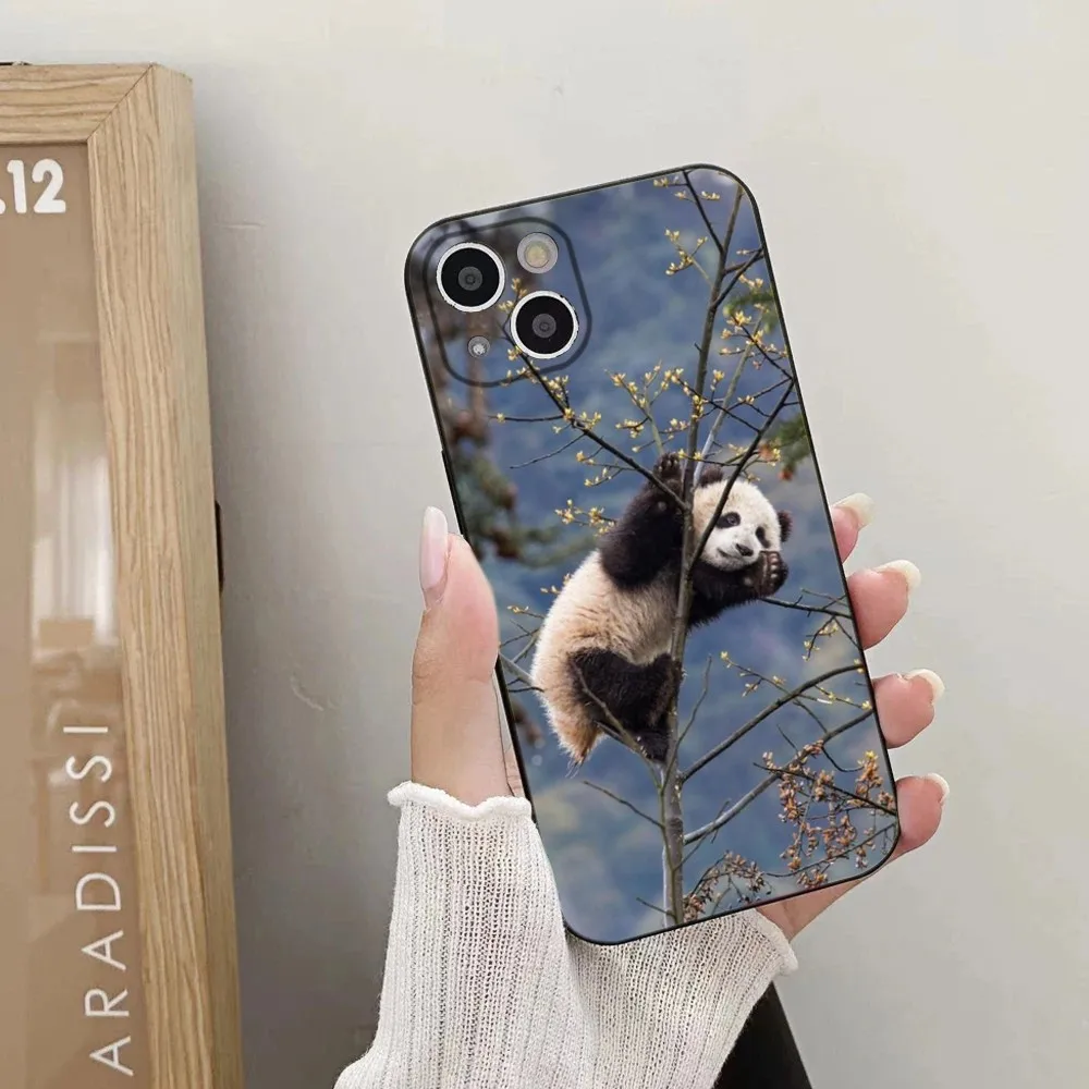 Cute Panda Fubao Phone Case For iPhone 15,14,13,12,11 Plus,Pro,Max,XR,XS,X,7,8 Plus,SE,Mini Silicone Soft