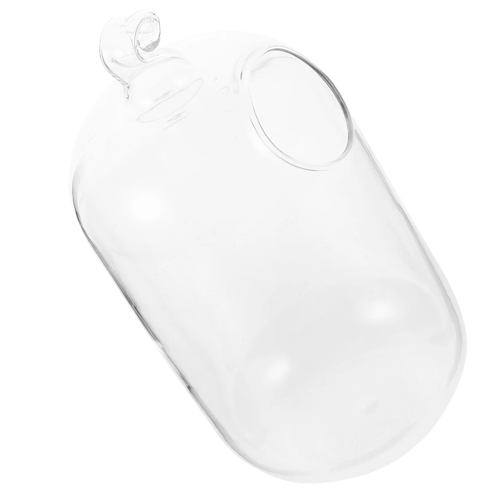 

Suspended Transparent Glass Fish Tank Mini Aquarium Flower Vase Aquarium Infusion Bottle for Home Fish Tank Decorative V Ast