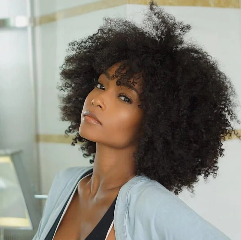 Afro Kinky Curly Wig Human Hair Short Wig For Women Human Hair 100% Natural Hair