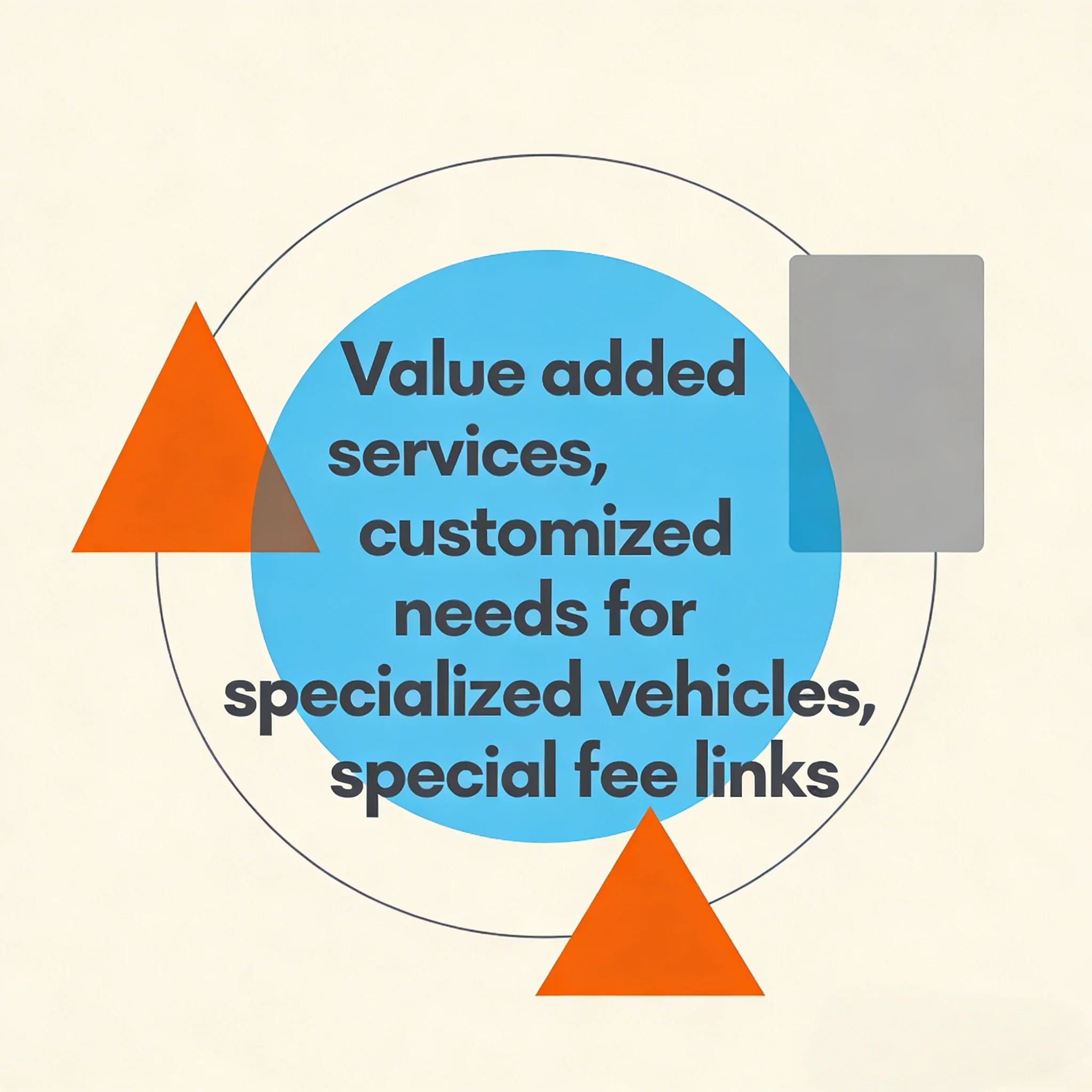 Value added projects, specialized vehicle upgrade services, chip upgrades, and other supplementary links