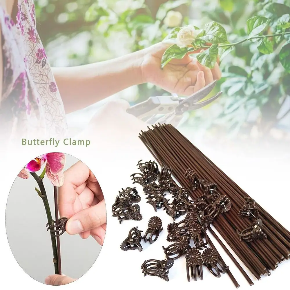 100PCS Orchid Flower Support Plant Clips Vine Grafting Supplies Garden Tools Orchid Clips 6-Claw Plastic Grafting Clip