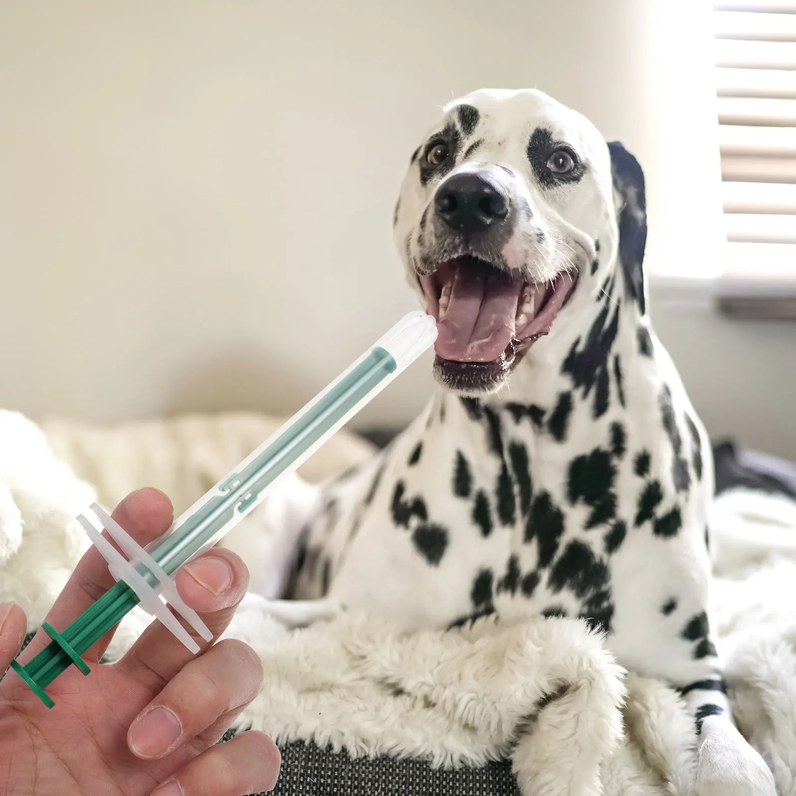 

2Sets Pet Oral Syringes Safe Non-Toxic Design for Administering Capsules Tablets to Cats Or Dogs Ideal for Home Vet Or Pet Store