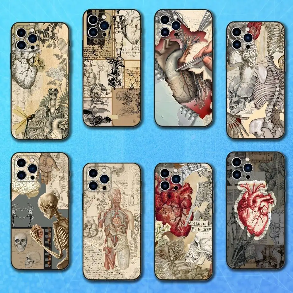 

Human Art Anatomy Medical Phone Case For iPhone 16,15,14,13,12,11 Plus,Pro Max,XS,X,XR,SE,Mini,8,7,Soft Silicone Black Cover