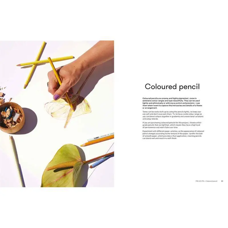 Art Class Flowers And Foliage Creating Contemporary Botanic Sarah Hankinson Thames  Hudson Australia 9781760764340 Book