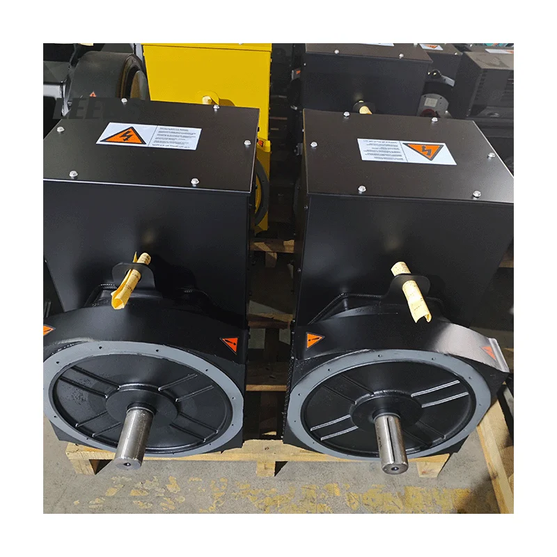 

220V AC Silent Type Alternator 40kw 50kw 60kw Auto Start Low RPM Permanent Magnetic Generator Single 3 Phase Double Bearings