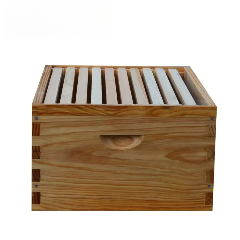 10 Frame Deep Disassembled Pine Langstroth Super Beehive Box with Fumigation