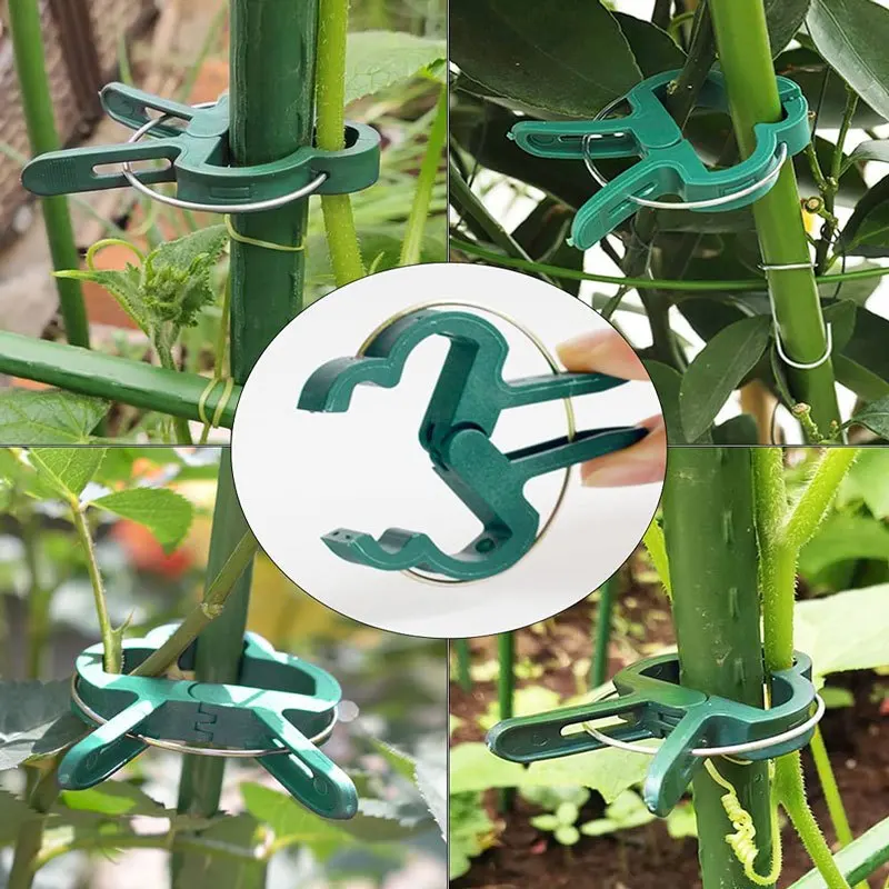 Image 5: 20 pinces réutilisables pour la fixation des tiges de plantes, supports pour semis de fleurs et de vigne en serre, accessoires de jardin ﻿