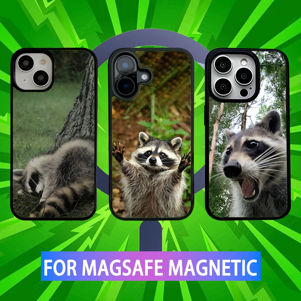 

Cute Animal Raccoon Phone Case For iPhone 16,15,14,13,12,11,Pro,Max,Plus,Mini,SE New Magsafe Magnetic Wireless Charging