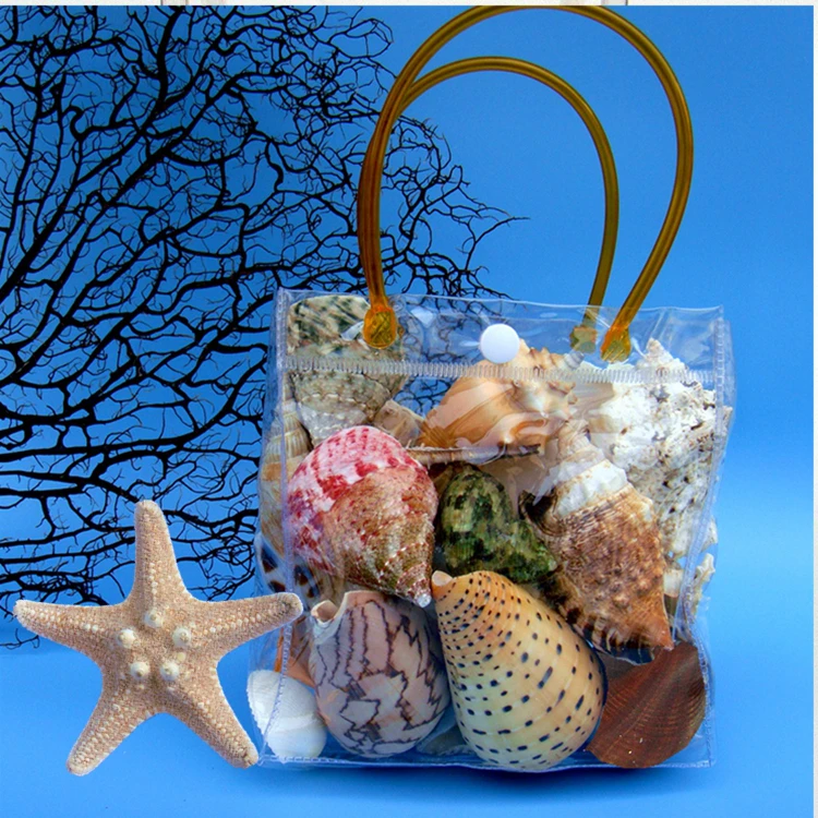 High-end Natural Conch Starfish and Shell Set Fish Tank Landscaping Window and Floor Decorations