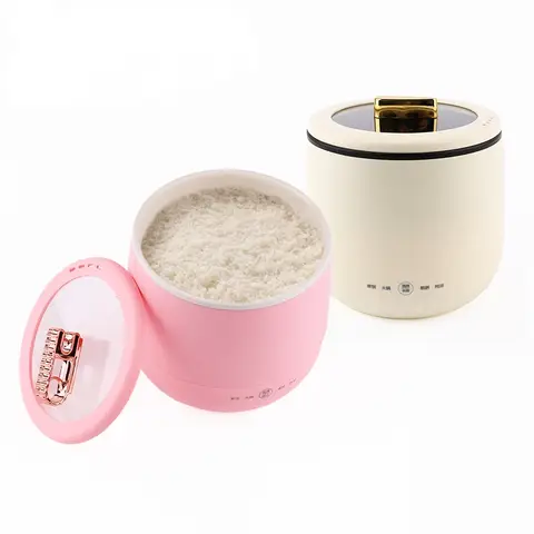 DMWD fornello di riso elettrico multifunzionale Hotpot padella zuppa Porridge stufato Shabu pentola in ceramica antiaderente cibo pasto riscaldatore a vapore