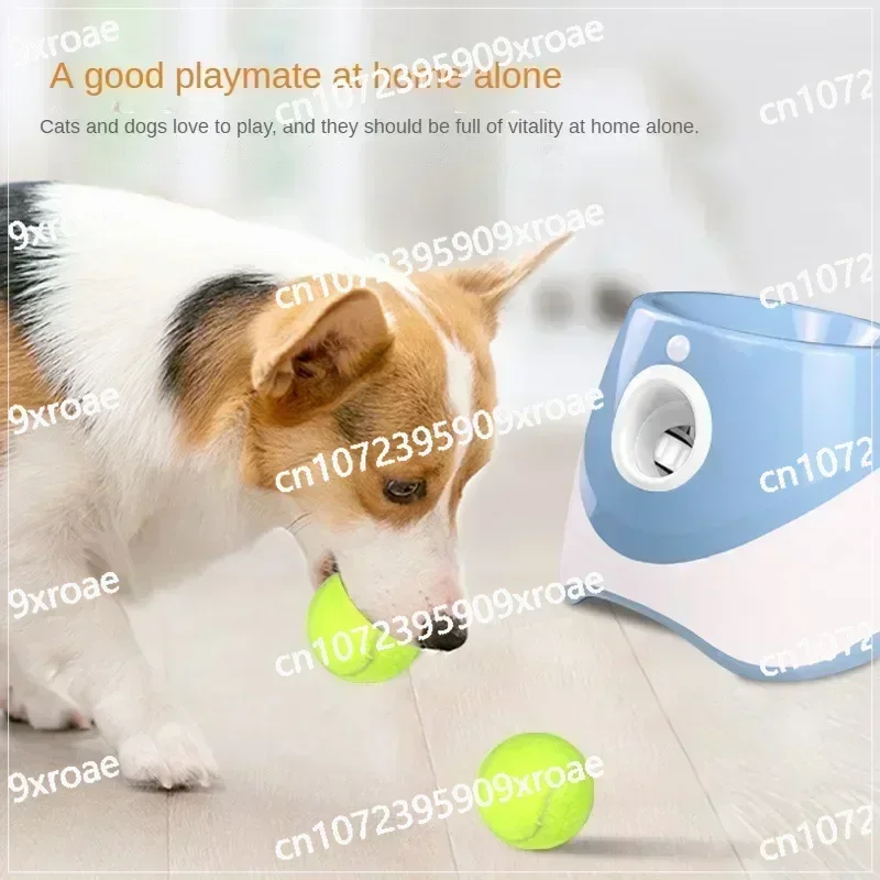 Automatic Pet Throw Jump Ball Dog Catapult Ball Launcher Dog Toy Bulldog Toy Tennis Machine Automatic Pet Throw