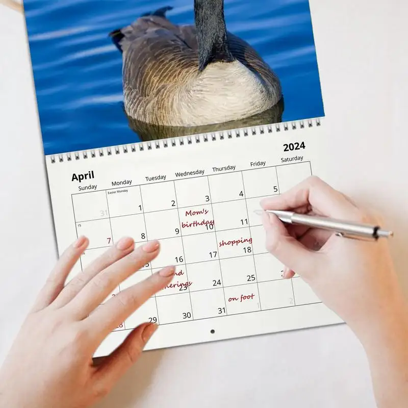 Animal Monthly Wall Calendar Annual Schedule Wall Planner Practical And Fun Annual Yearly Planner For Home Study Room Offices