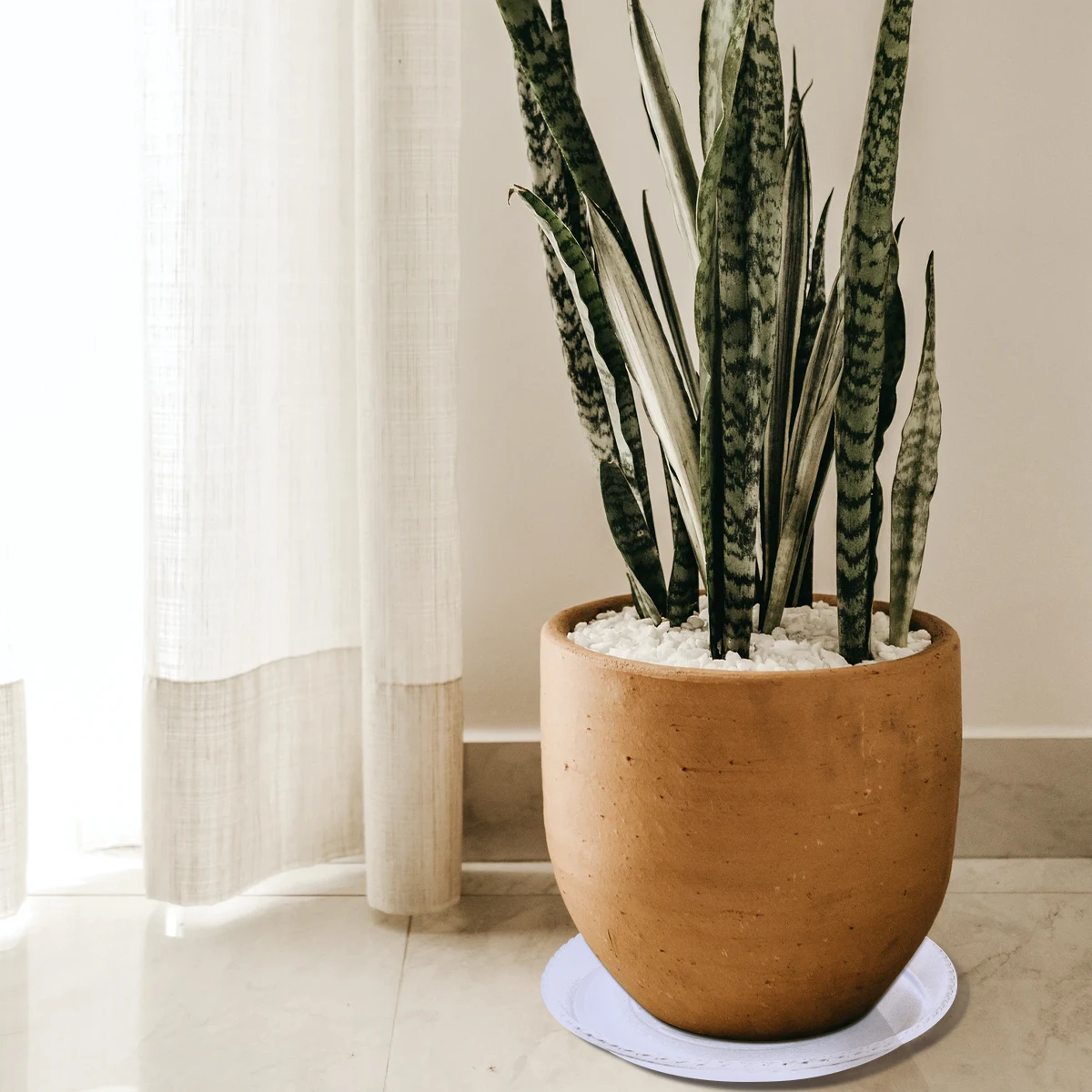 

2pcs Flowerpot Tray Round White Plastic Plant Pot Base Household Garden Decor Flat Bottom Non-Slip Durable Flowerpot Plate