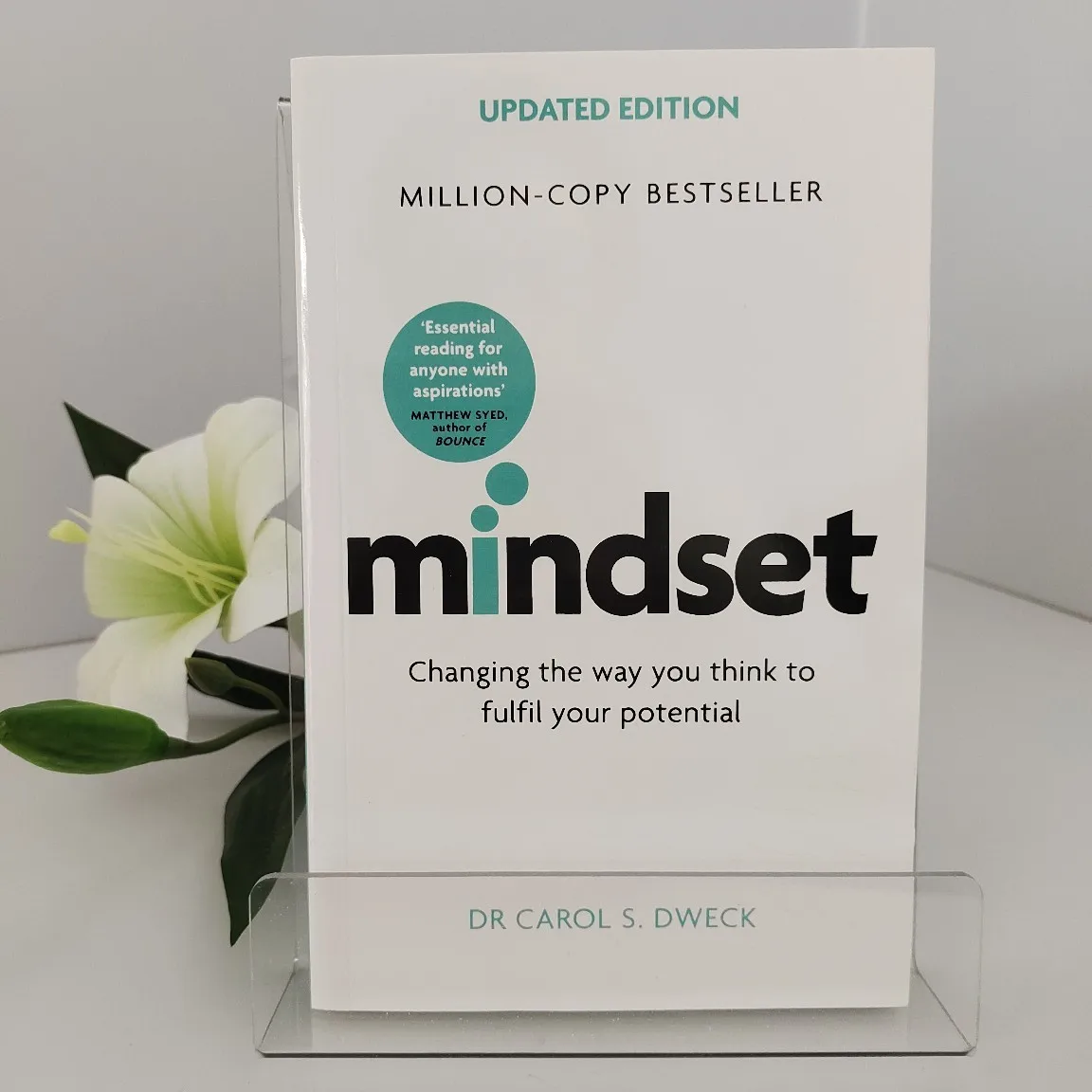 mentalidade-de-crescimento-ao-longo-da-vida-redefine-a-mentalidade-do-sucesso-livros-de-gestao-livros-em-ingles-livros-libros-books