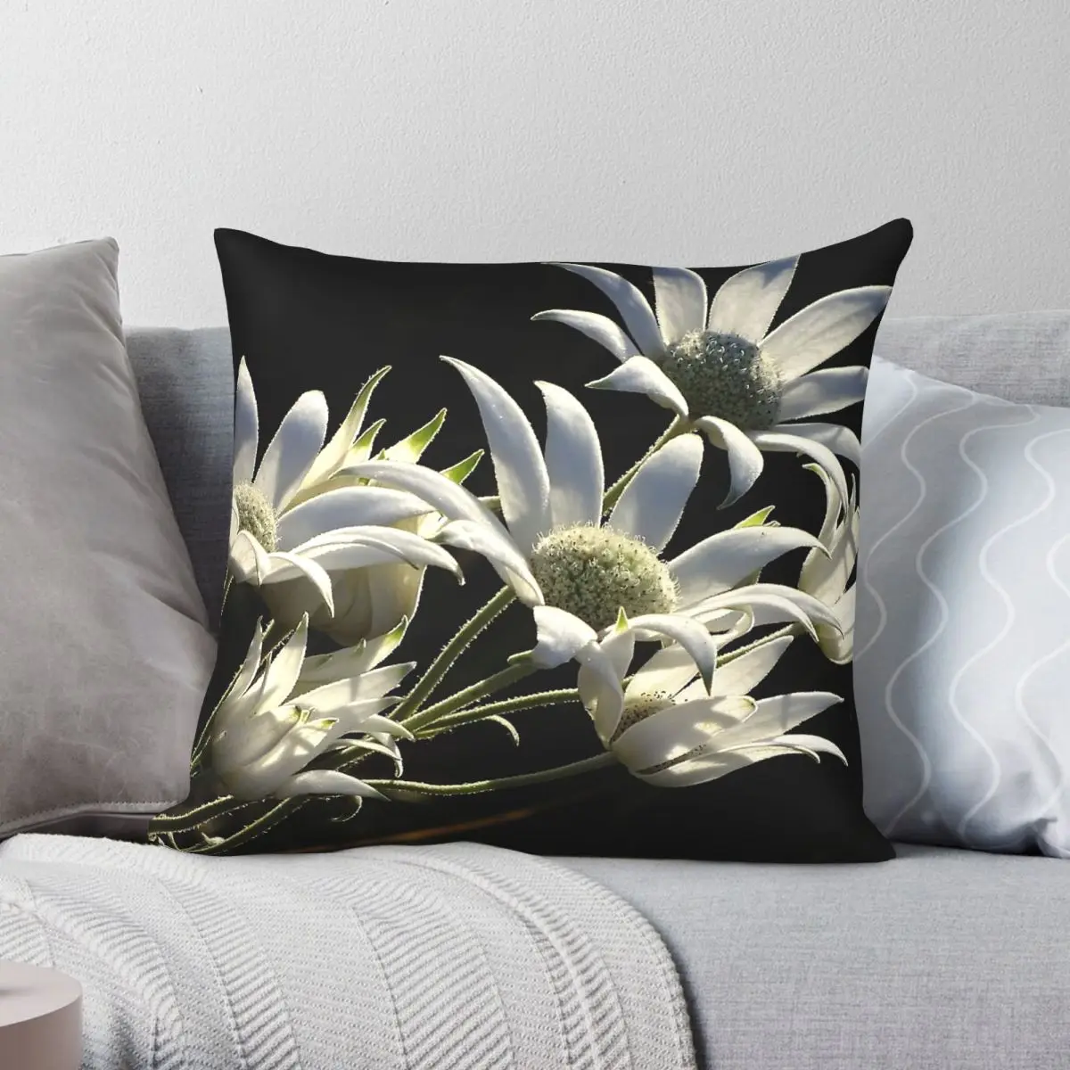 Australian Flannel Flower Square Pillowcase Polyester Linen Velvet Printed Zip Decor Car Cushion Cover 18