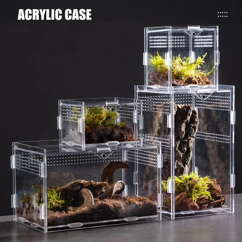 Terrário Transparente de Acrílico para Répteis, Caixa de Criação, Gaiola para Tartarugas, Recinto Nano para Tarântulas Arbóreas, Habitat para Dragões-de-Deserto e Répteis