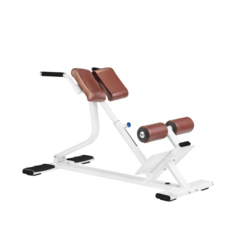 Silla Romana para Extensión de Espalda, Banco de Hiperextensión, Equipo de Fitness para Musculación, para Gimnasio Comercial/Uso Doméstico
